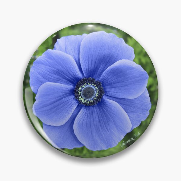 Item preview, Indigo Anemone ~ A Cool Beauty designed and sold by SummerJade.