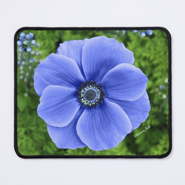 Item preview, Indigo Anemone ~ A Cool Beauty designed and sold by SummerJade.
