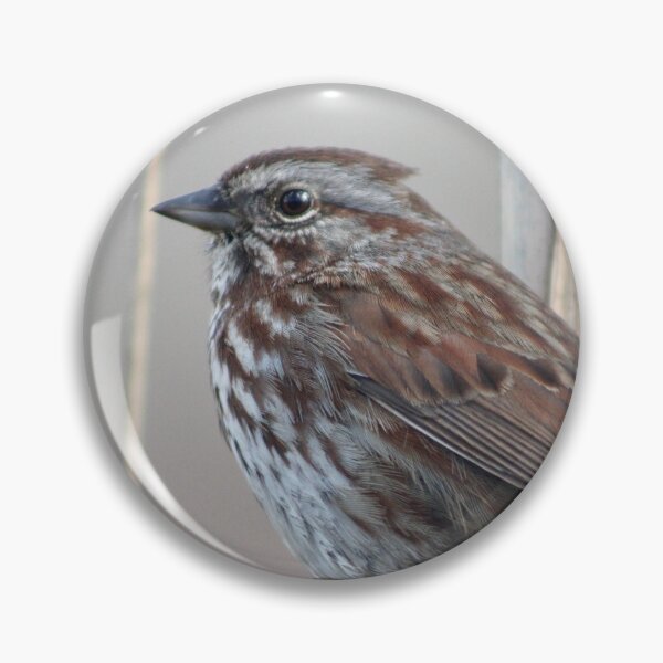 Item preview, Song Sparrow designed and sold by Pacific Northwest Birding.