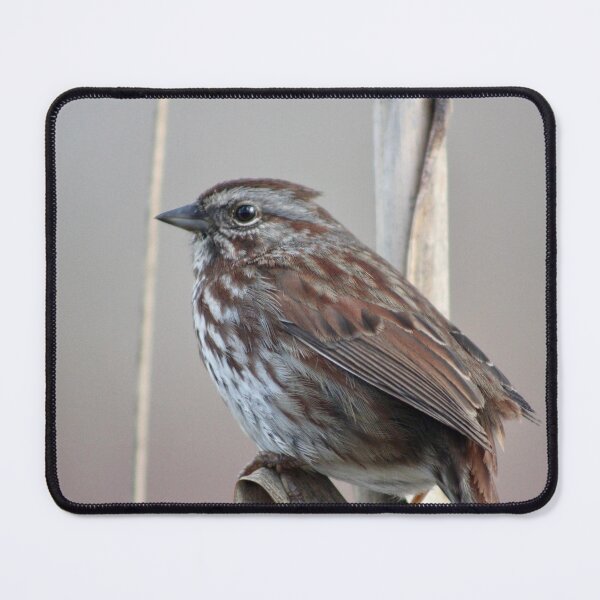 Item preview, Song Sparrow designed and sold by Pacific Northwest Birding.