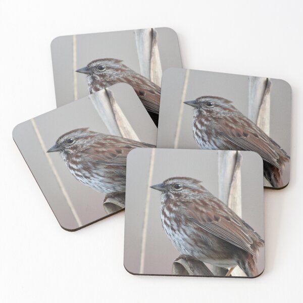 Item preview, Song Sparrow designed and sold by Pacific Northwest Birding.