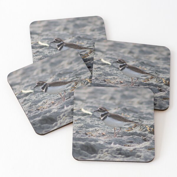 Item preview, Killdeer designed and sold by Pacific Northwest Birding.