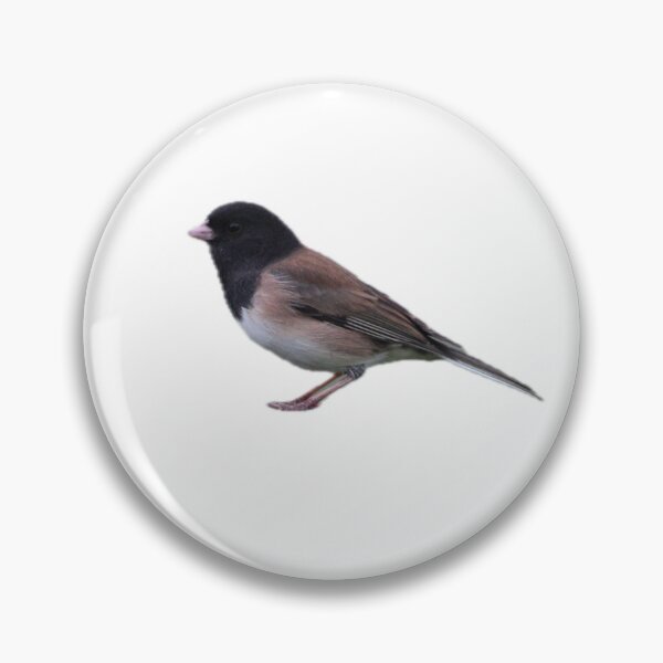 Item preview, Dark-eyed Junco: Cutout designed and sold by Pacific Northwest Birding.