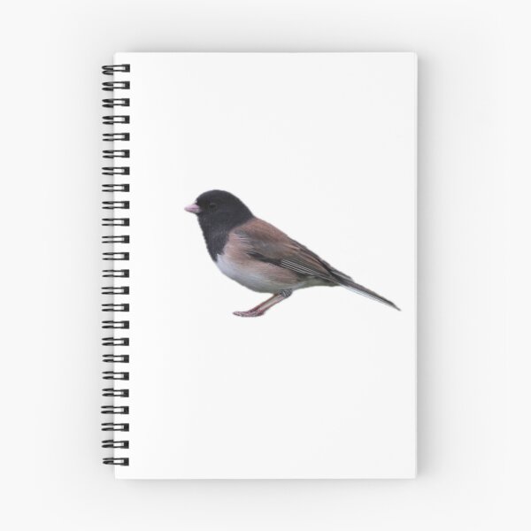 Item preview, Dark-eyed Junco: Cutout designed and sold by Pacific Northwest Birding.