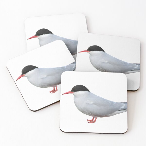 Item preview, Arctic Tern- Cutout designed and sold by Pacific Northwest Birding.
