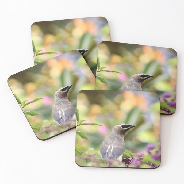 Item preview, Cedar Waxwing designed and sold by Pacific Northwest Birding.