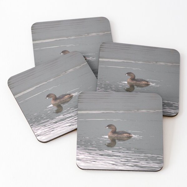 Item preview, Pied-billed Grebe designed and sold by Pacific Northwest Birding.