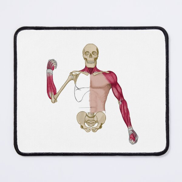 Item preview, Human Blueprint designed and sold by tristamstone.