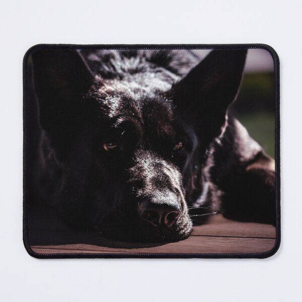 Item preview, Resting German Shepherd designed and sold by paulinasvaphotography .