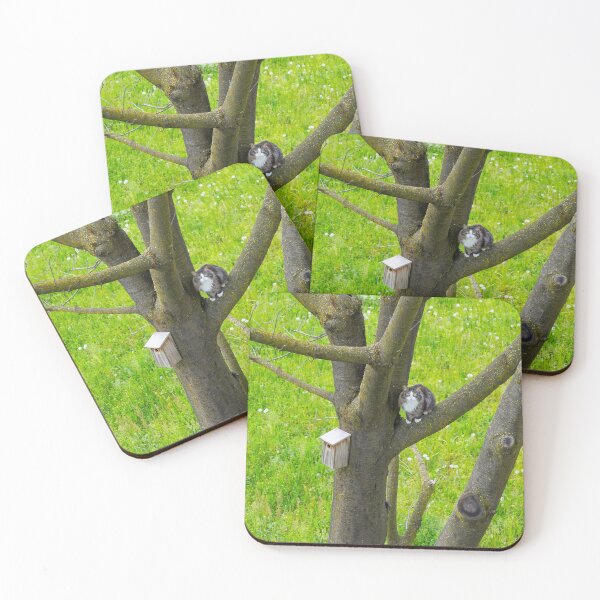 Item preview, Cat Sitting in a Tree Close to a Bird House and Bird's Nest designed and sold by Mats Silvan.