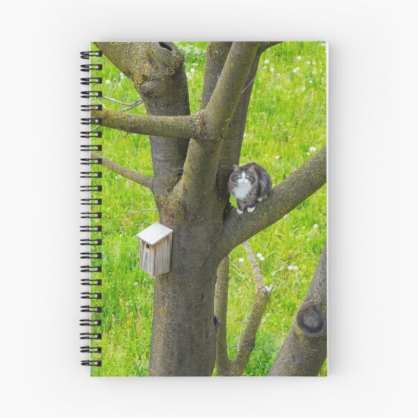 Item preview, Cat Sitting in a Tree Close to a Bird House and Bird's Nest designed and sold by Mats Silvan.