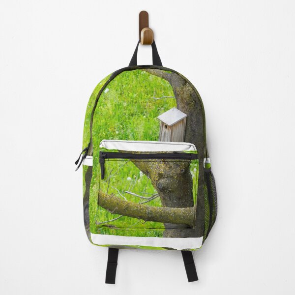 Item preview, Cat Sitting in a Tree Close to a Bird House and Bird's Nest designed and sold by Mats Silvan.
