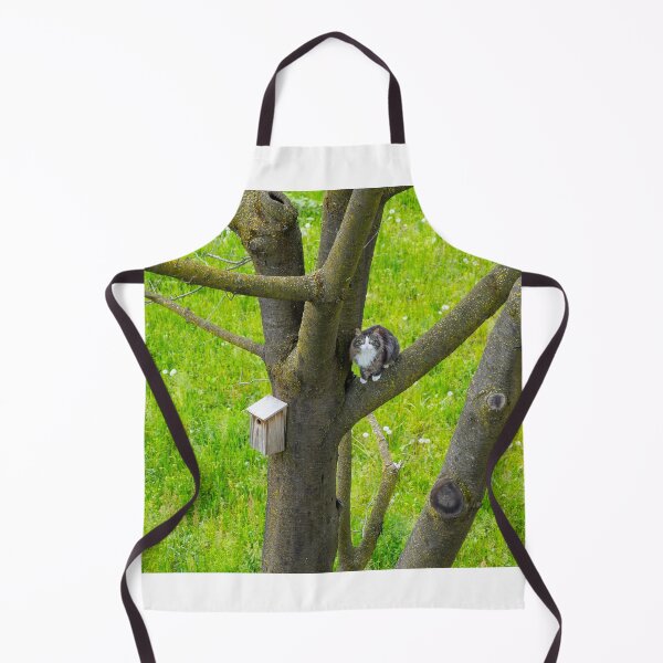 Item preview, Cat Sitting in a Tree Close to a Bird House and Bird's Nest designed and sold by Mats Silvan.