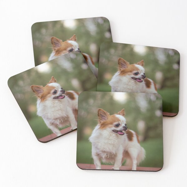 Item preview, Alert Chihuahua on Bench designed and sold by paulinasvaphotography .