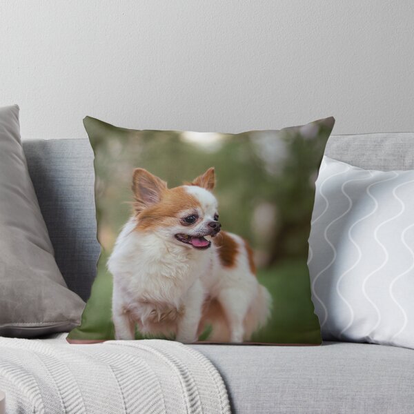 Item preview, Alert Chihuahua on Bench designed and sold by paulinasvaphotography .