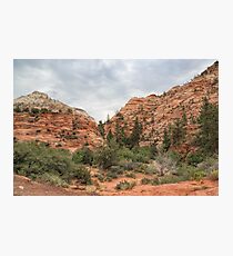 Zion Intrique Photographic Print