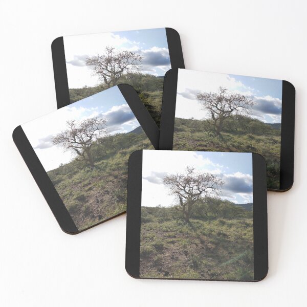 Item preview, A photo of a tree against the backdrop of blue skies.  designed and sold by Jamesk82.