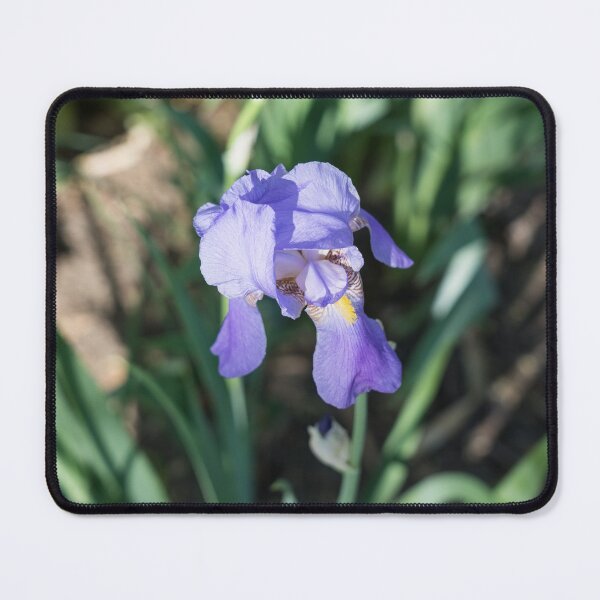 Item preview, Dreamy Garden with a Vibrant Violet Iris Blossom designed and sold by Georgia Mizuleva.