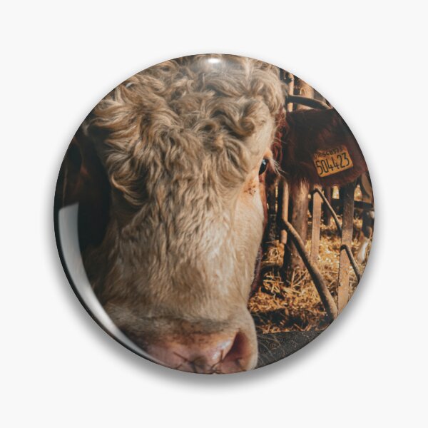 Item preview, Logie the Limousin/Charley Bull designed and sold by sammbramm.