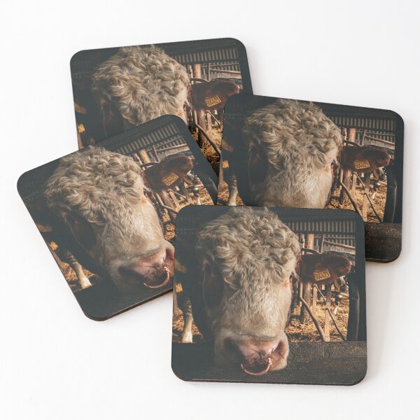 Item preview, Logie the Limousin/Charley Bull designed and sold by sammbramm.