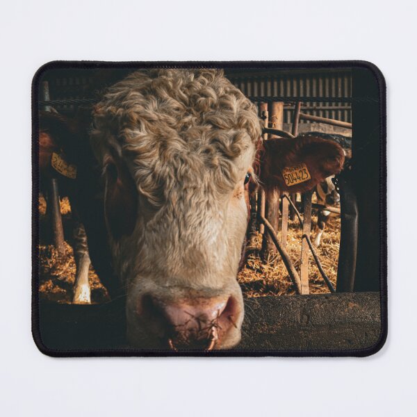 Item preview, Logie the Limousin/Charley Bull designed and sold by sammbramm.