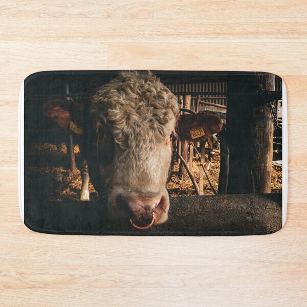 Item preview, Logie the Limousin/Charley Bull designed and sold by sammbramm.