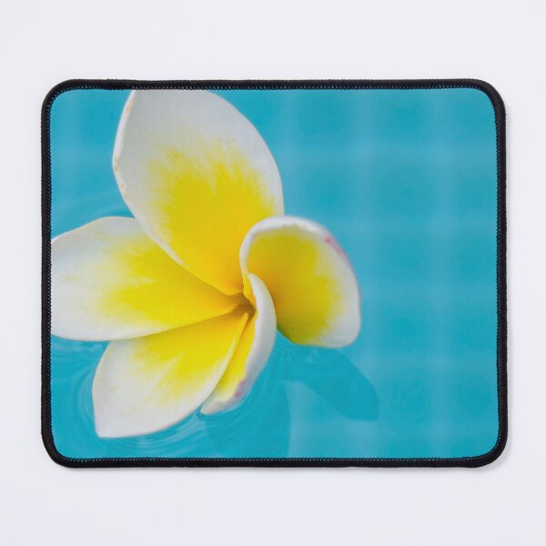 Item preview, Yellow-white Plumeria blossom in the swimming pool designed and sold by Eckart Mayer Photography.