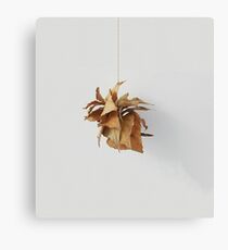 Leafy Pinecone Canvas Print