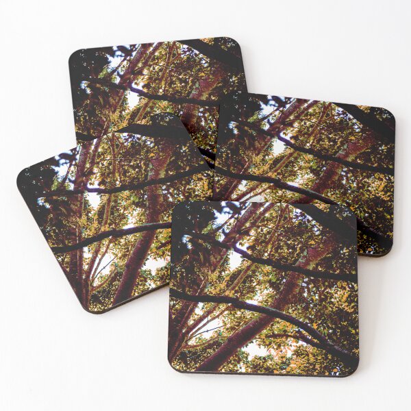 Item preview, Kriss-Cross Tree Branches designed and sold by Geoff Treagus.