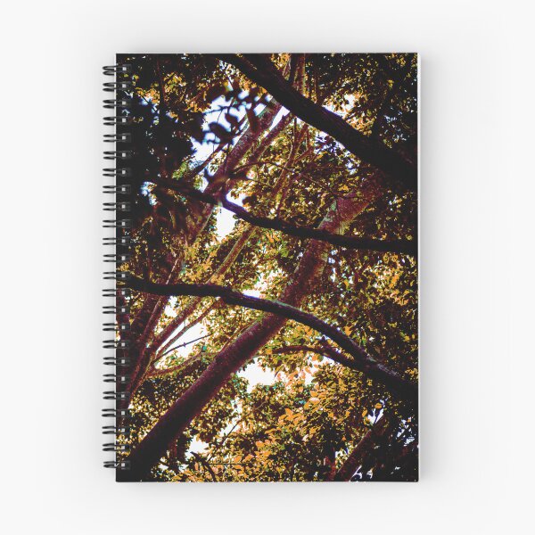 Item preview, Kriss-Cross Tree Branches designed and sold by Geoff Treagus.