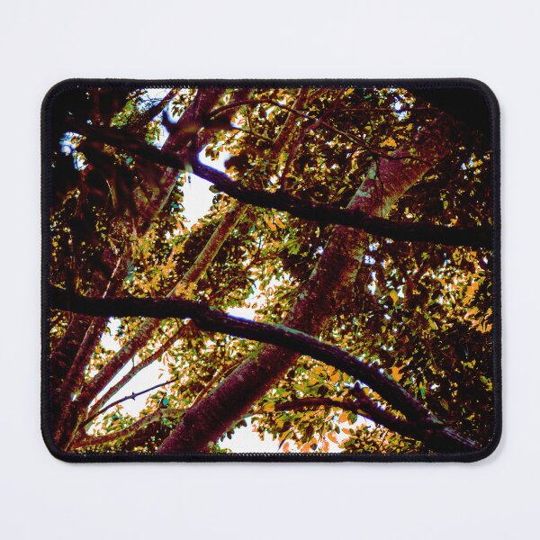 Item preview, Kriss-Cross Tree Branches designed and sold by Geoff Treagus.