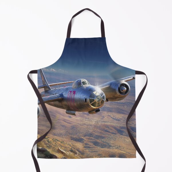Item preview, Il-28 Beagle designed and sold by Skyframe Aviation.