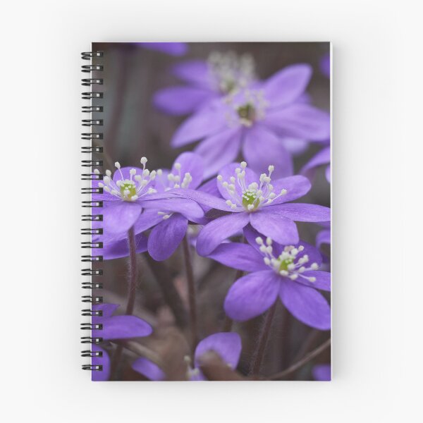 Item preview, Pennywort blues designed and sold by Jouko Lehto Photography.