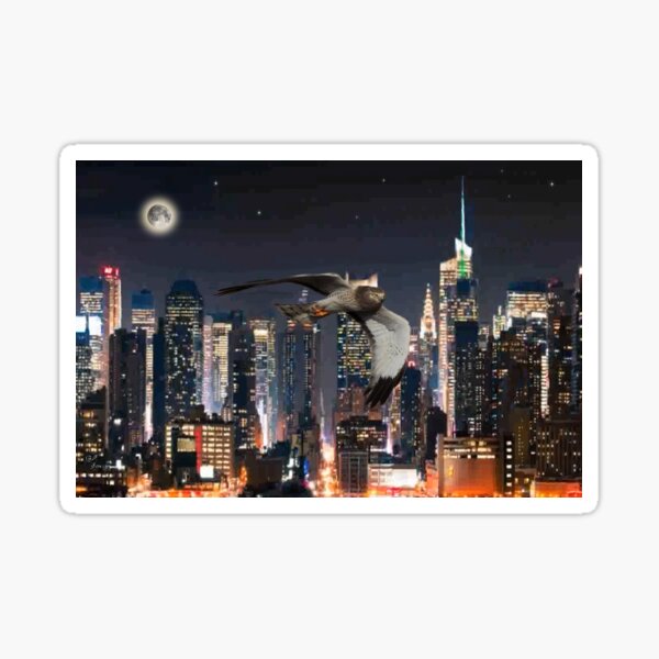Item preview, City Dweller designed and sold by billfox256.