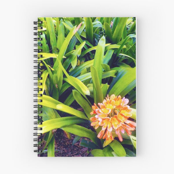 Item preview, Funchal, Portugal designed and sold by SoRich.