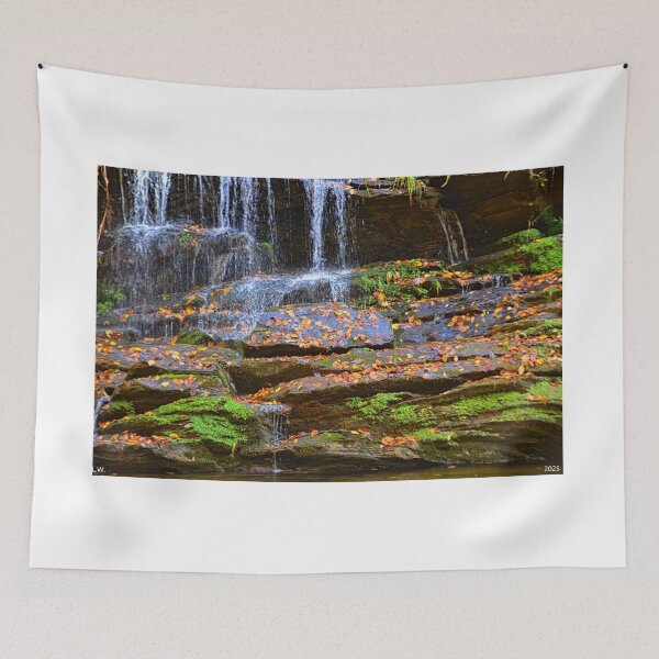 Item preview, Mossy Rocks In Autumn designed and sold by LisaWootenPhoto.