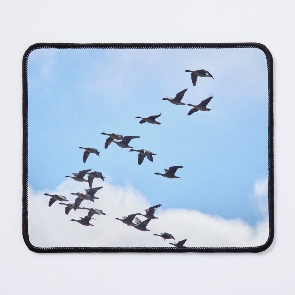 Item preview, Together we fly. Geese 1 designed and sold by Jouko Lehto Photography.
