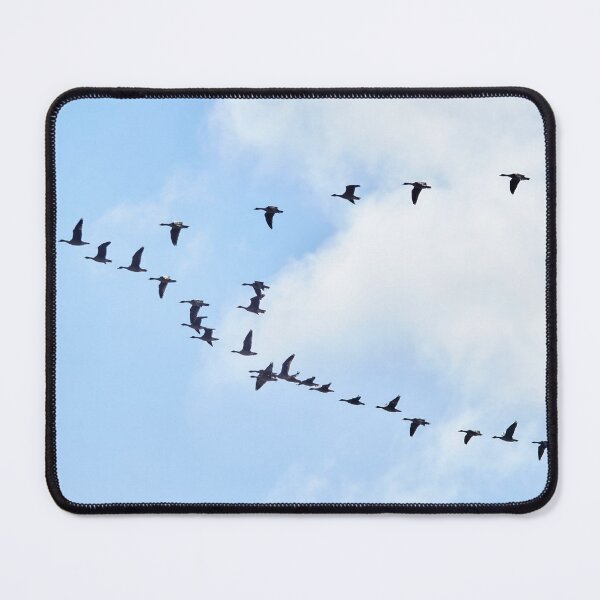 Item preview, Together we fly. Geese 2 designed and sold by Jouko Lehto Photography.