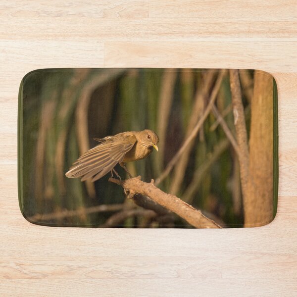 Item preview, Clay-colored Thrush Landing designed and sold by Debra Martz.