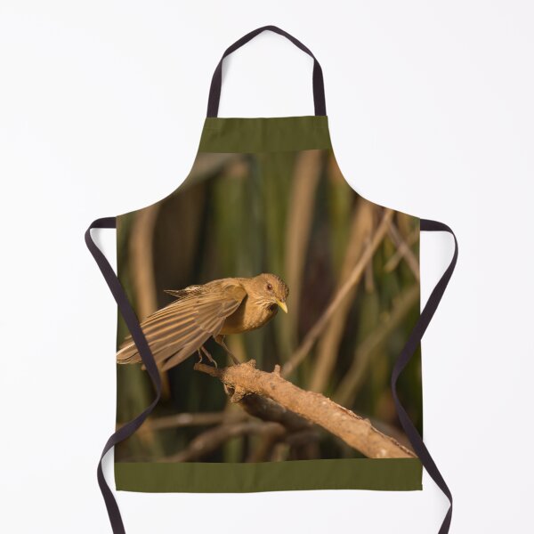 Item preview, Clay-colored Thrush Landing designed and sold by Debra Martz.