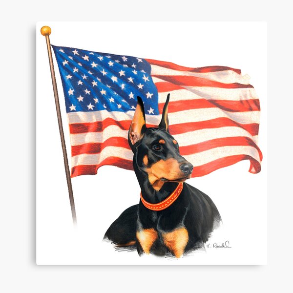 "Home of the Brave" Metal Print