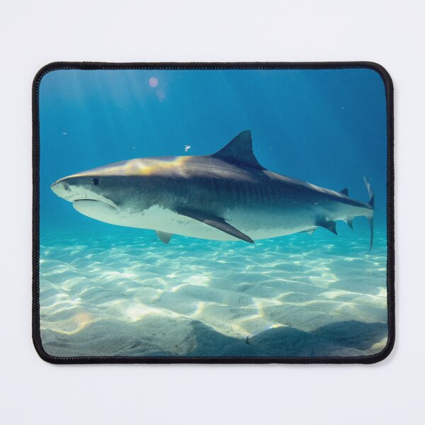 Item preview, Shark on the sea bed designed and sold by Md1982.