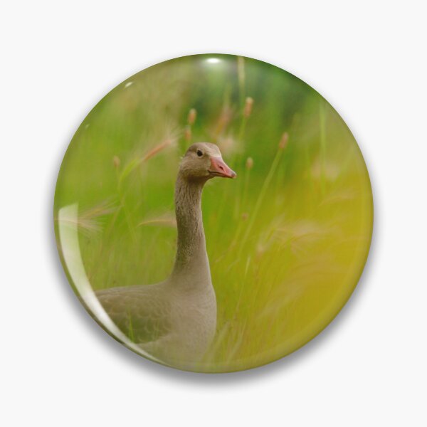 Item preview, Having a gander designed and sold by miradorpictures.