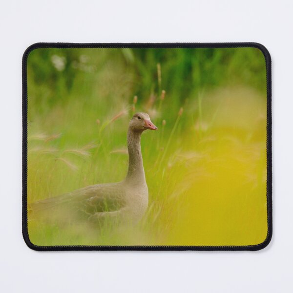 Item preview, Having a gander designed and sold by miradorpictures.