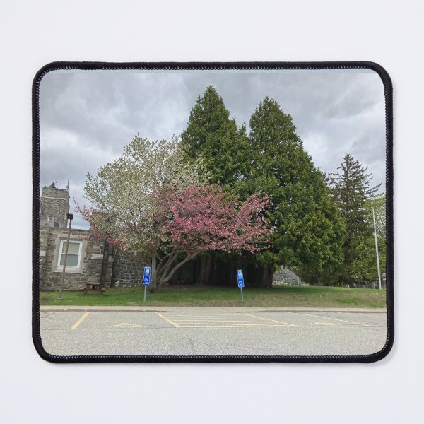 Item preview, Trees in Front of the Old Library  designed and sold by Amanda1775.