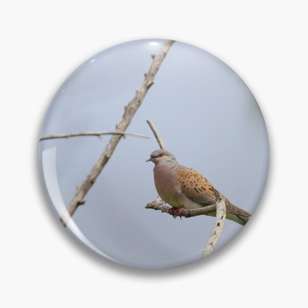 Item preview, Turtle dove perch designed and sold by miradorpictures.