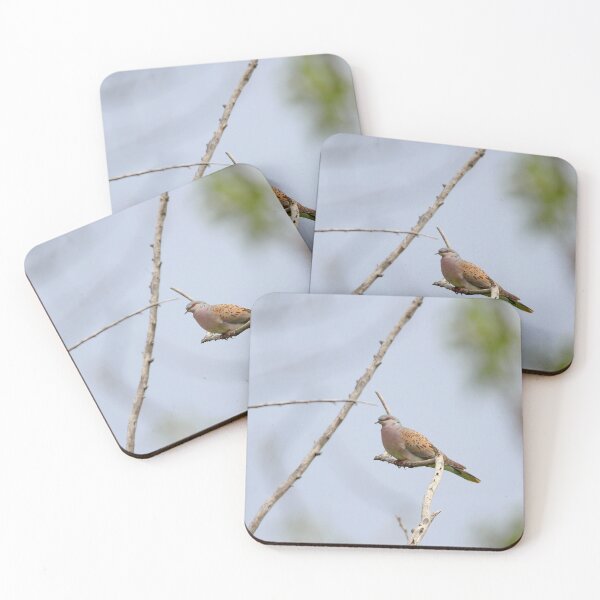Item preview, Turtle dove perch designed and sold by miradorpictures.