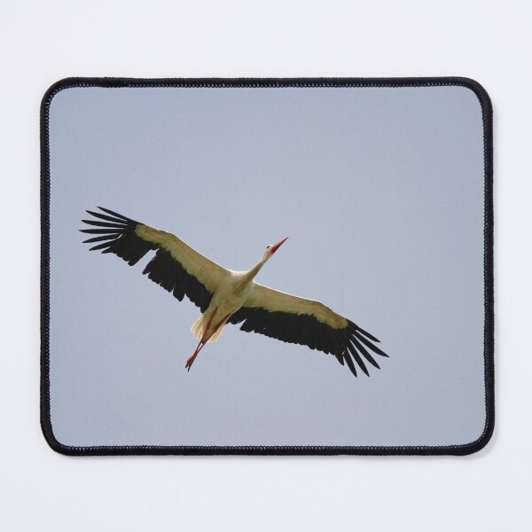 Item preview, Storks soar designed and sold by miradorpictures.
