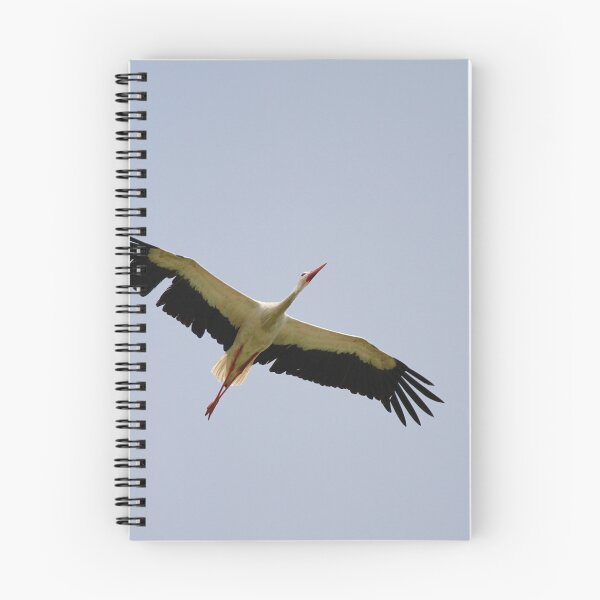 Item preview, Storks soar designed and sold by miradorpictures.
