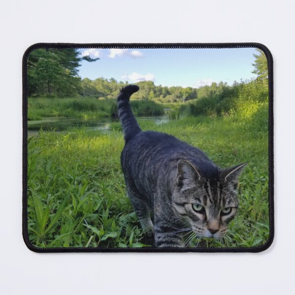 Item preview, KK designed and sold by caabca.
